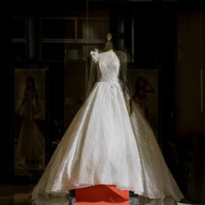 Men's Stylish Bow Tie